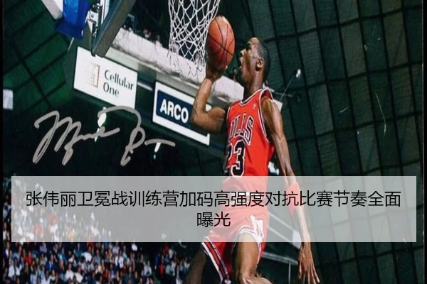 张伟丽卫冕战训练营加码高强度对抗比赛节奏全面曝光
